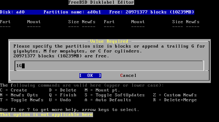 FreeBSD disklabel Value Required
